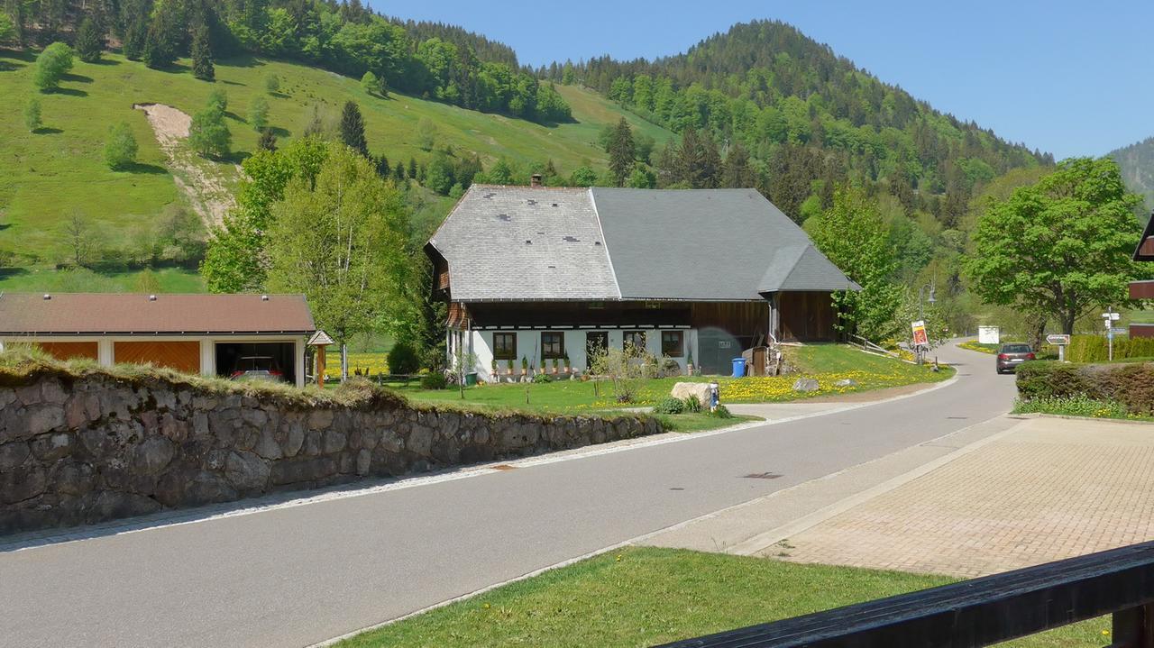 Gaestehaus Kaiser Menzenschwand-Hinterdorf Buitenkant foto